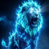 PAPEL DE PAREDE ANIMADOS 💡