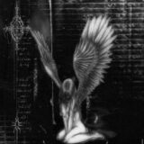 𖤐༺ 𝗢𝗦 𝗣𝗘𝗥𝗗𝗜𝗗𝗢𝗦 ༻𖤐