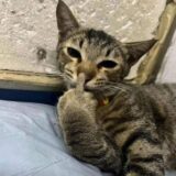 Só resenha 💯🤪