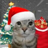 ★꙳•❅🎄 𝑭𝑰𝑬𝑺𝑻𝑨 🎅❆•꙳★