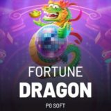 FORTUNE DRAGON – SINAIS VIP