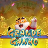 As melhores plataformas 🥷