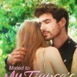 MINHAS SÉRIES FAVORITAS 😍