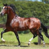 𓆉OLIMPO𓆉 𓂂𓏸 𓆟 𓇼𓆞 𓂂 𓆝 𓂂