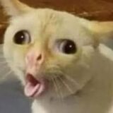 🎉GRUPO DE ZOEIRA ,MEMES🙃 E SAPEKAGENS🔥😈🔞