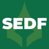 Concurso SEDF – Secretaria de Educação do DF