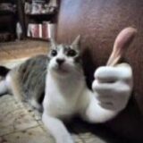 𝕆𝕤 𝕕𝕖𝕤𝕔𝕠𝕟𝕥𝕣𝕠𝕝𝕒𝕕𝕠𝕤🔱