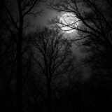 𝐷𝐴𝑅𝐾 𝐸𝑁𝐸𝑀𝐼𝐸𝑆 👑✨