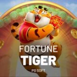 MINUTOS PAGANTES DO TIGRE 🐯