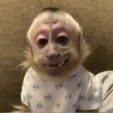 𝙰𝙼𝙸𝙶𝙾𝚂 𝚆𝙴𝙱🤞🏻