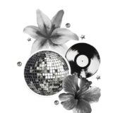 𝙏𝙝𝙚|qׁׅυׁׅꫀׁׅܻ݊ꫀׁׅܻ݊݊ꪀ💿🪩